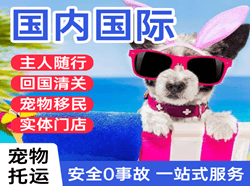 集宁航空邮寄国际宠物托运 【国